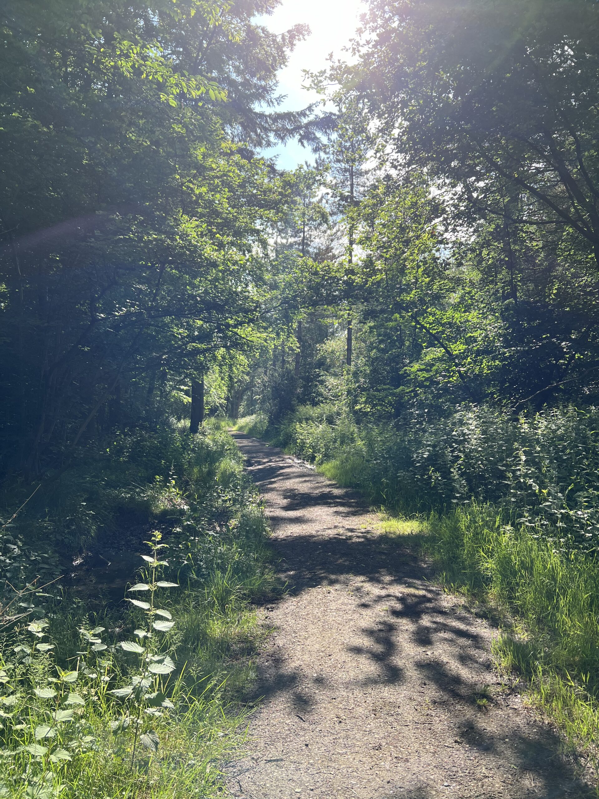 14 Simple Ways to Live a Slower, Easier Life