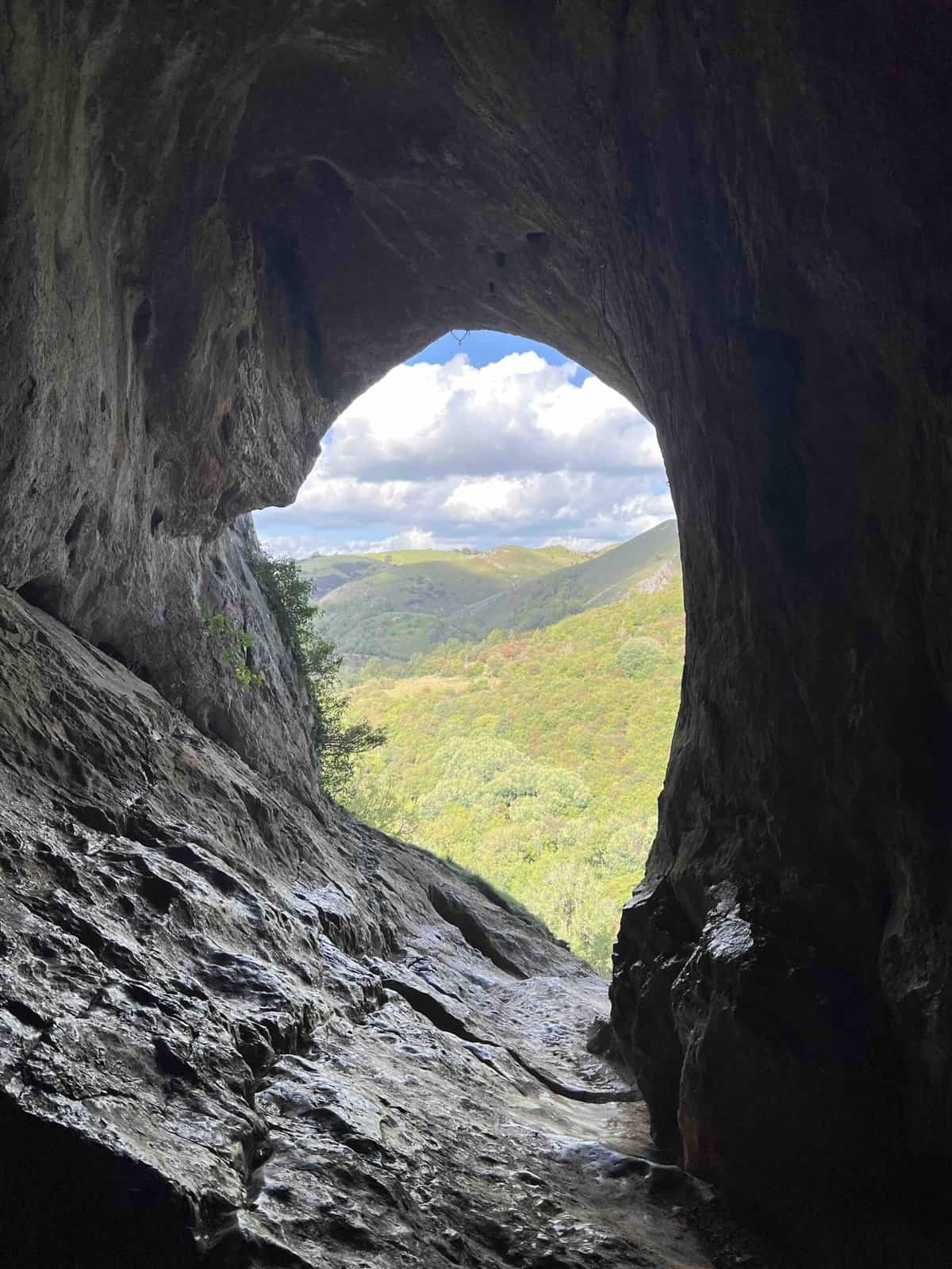 Looking over a wooded hillside from a cave entrance.