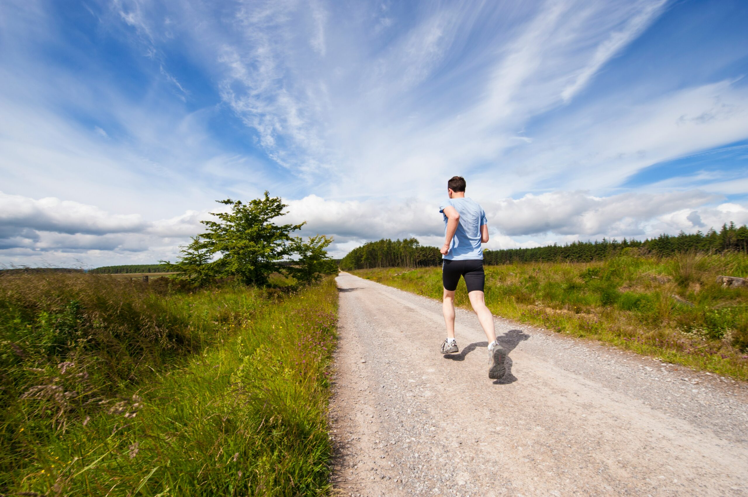 A runner on a trail, under blue skies.